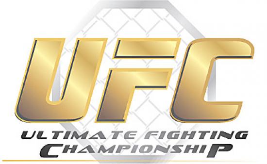 Resultado de imagem para MMA – UFC – LUTAS - LOGOS
